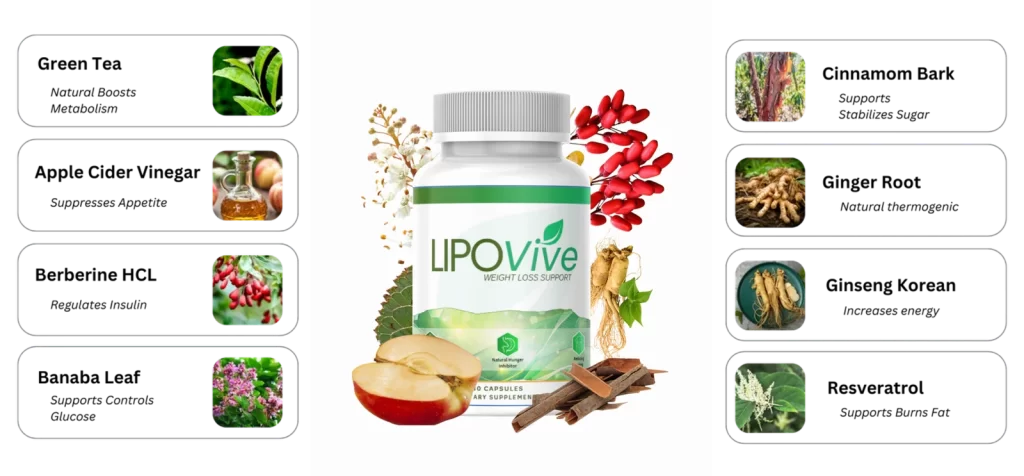LipoVive ingrediantes